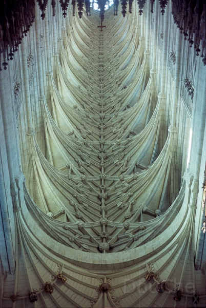 20110305_015.jpg - Nope, not up-side down, but taken in a mirror. In 2010, the mirror was still there.