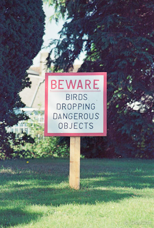 Arklow - St. Saviours Church