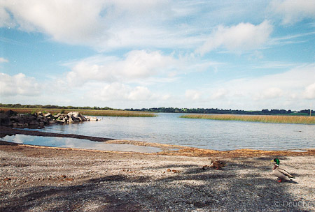 Lough Owel