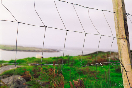 Connemara - Callow Roundstone