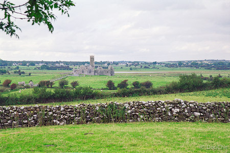 Ross Abbey