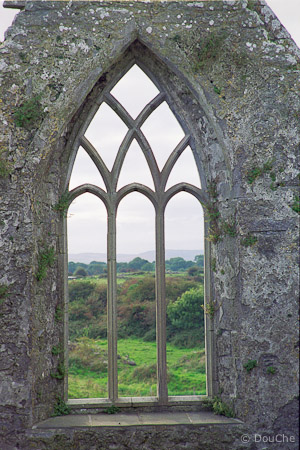 Ross Abbey