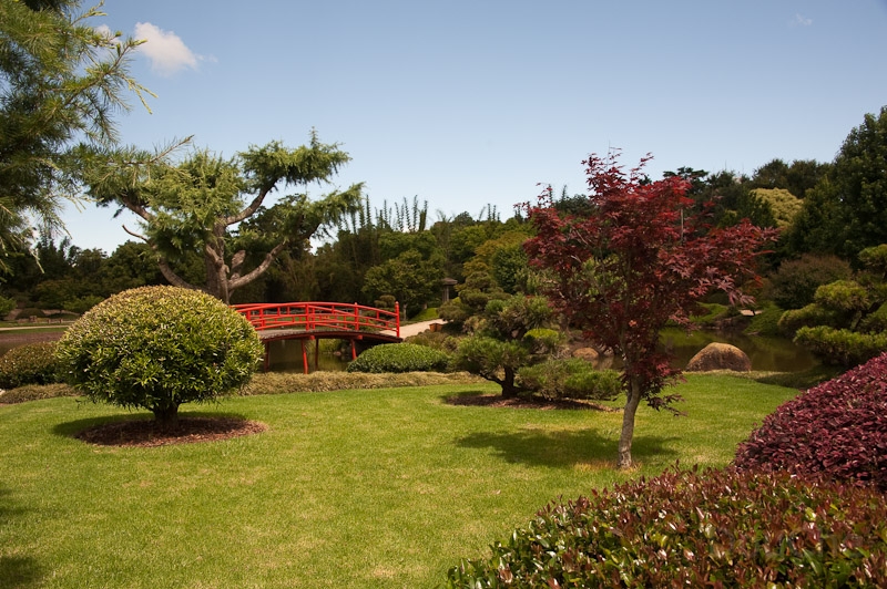 DSC_1642.jpg - Toowoomba, Japanese Garden