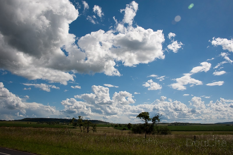 DSC_1658.jpg - Warwick