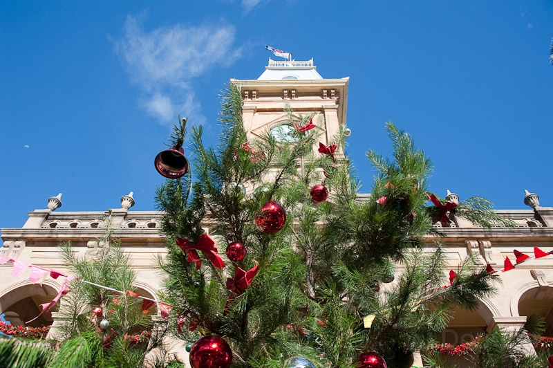 DSC_1661.jpg - Warwick