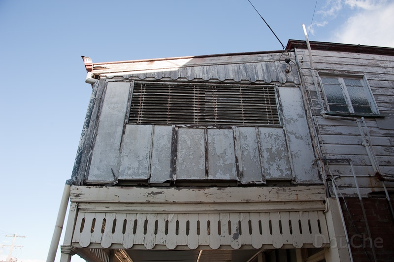 DSC_1682.jpg - Warwick