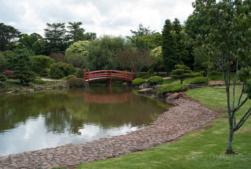 L1008700.jpg - Toowoomba, Japanese Garden