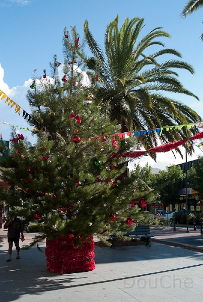 L1008715.jpg - Warwick