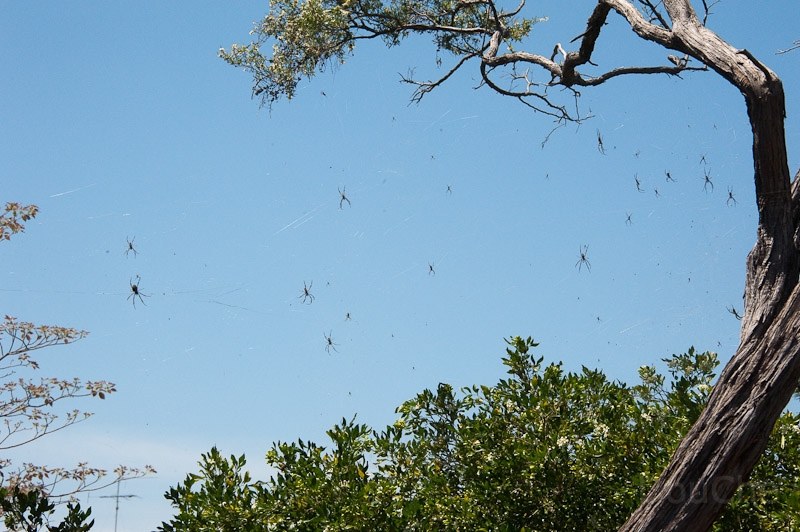DSC_1790.jpg - Just outside the house in the garden ... the view we get to see every morning when leaving ...