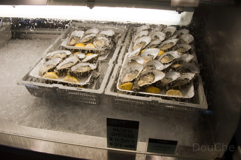 DSC_1813.jpg - Redcliffe