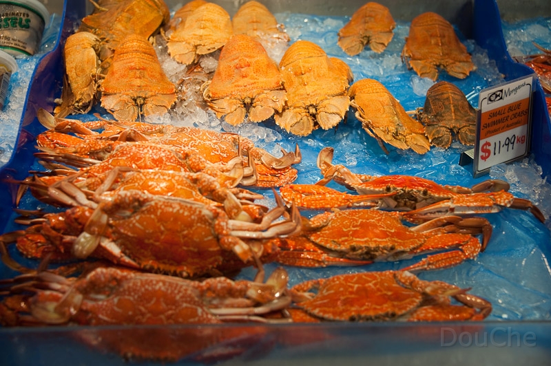 DSC_1816.jpg - Redcliffe