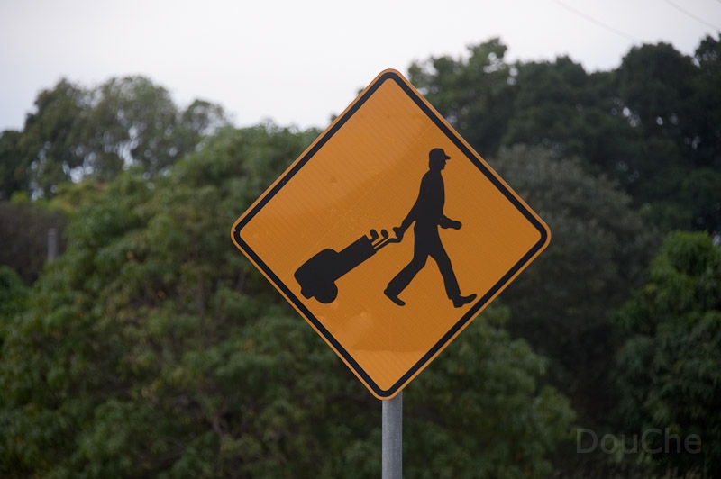 DSC_1847.jpg - Now this is a very strange animal ... Australicus Golifucs