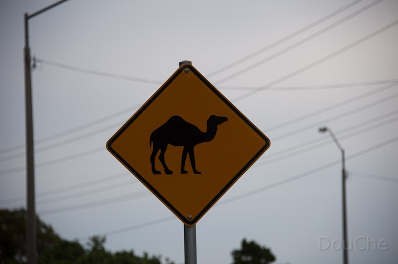 DSC_1848.jpg - Yes, we also wondered ... and we didn't see the animals ...