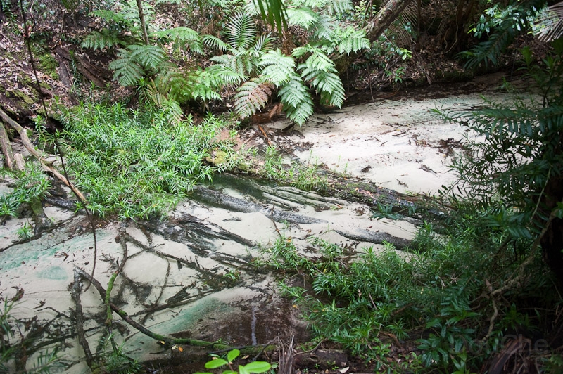 DSC_1855.jpg - West side of the island is rainforest, with crystal clear water ... so clear you almost don't see it ... this is a creek with water !