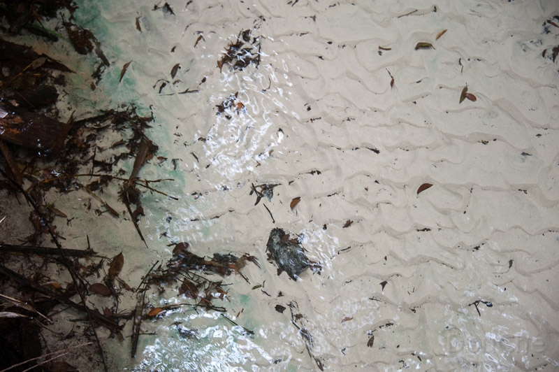 DSC_1858.jpg - A little bit of waterisch impression