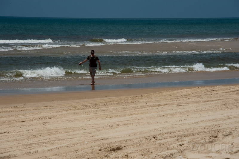 DSC_1943.jpg - Somebody lost a plastic bag, and somebody else had to go and chase it ...