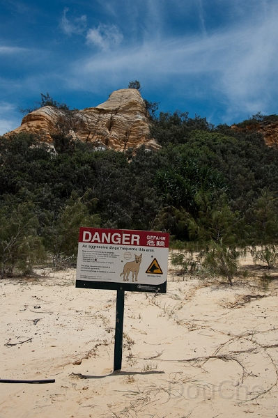 DSC_1966.jpg - Oh yes, they look harmless but they are pretty dangerous ...