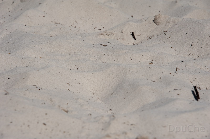 DSC_1989.jpg - The sand is so old that it got totally washed till only pure silica remains ...