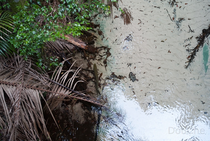 L1008822.jpg - So clear you can actually see the fish ... you spot it?