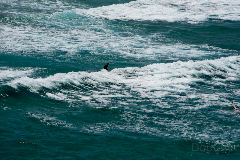 DSC_2073.jpg - A lonely surfer on the waves ...