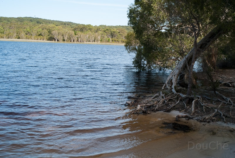 L1008913.jpg - The brown lake ...