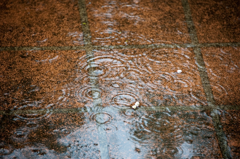 DSC_2276.jpg - Well, it can't be sunny all days ...