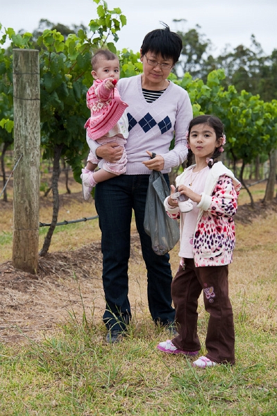 DSC_2541.jpg - On a day trip to Hunter Valley, a famous wine valley above Sydney.