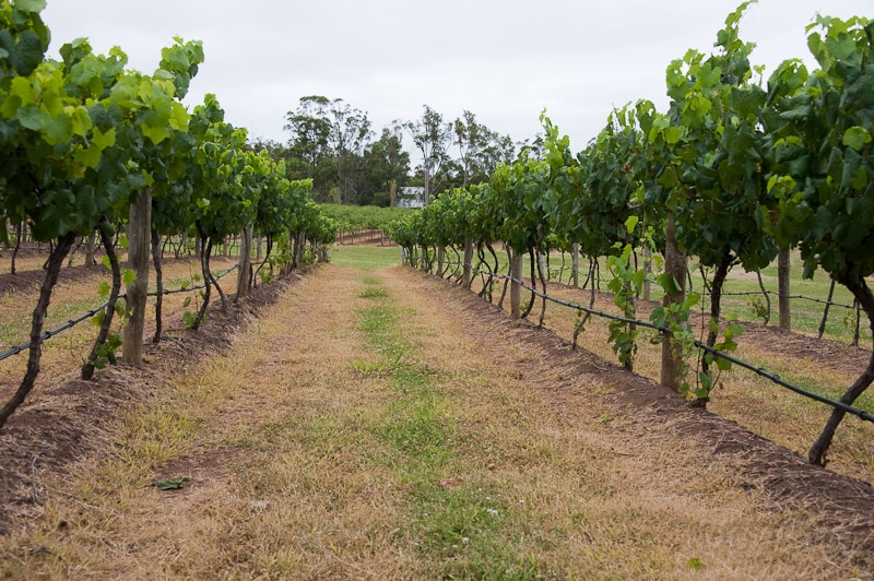 DSC_2544.jpg - Could be France