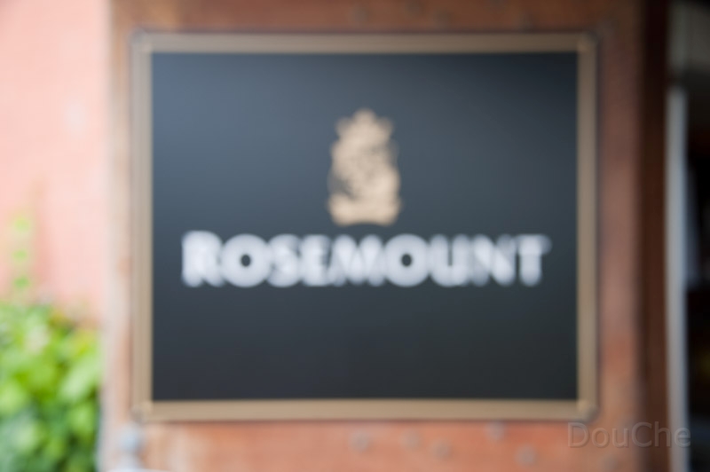 DSC_2564.jpg - ... hmmm ... hips ... *focus* ... this must haz beens Rosemount ...