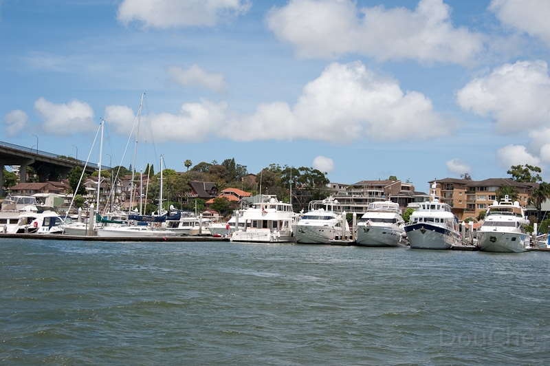 DSC_0936.jpg - I'm dreaming of a white boat ... since white Xmas here is very unlikely.