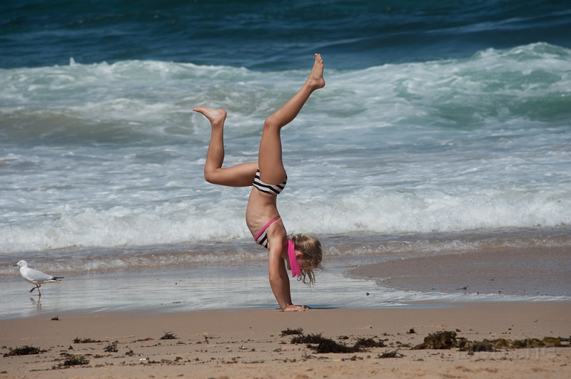 DSC_1094.jpg - Some young and flexible visitors ...