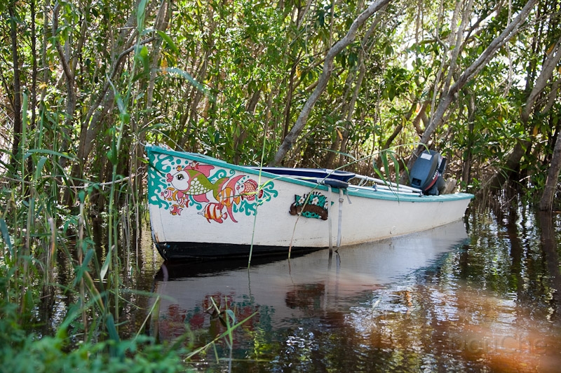 DSC_1549.jpg - Lake Cootharaha