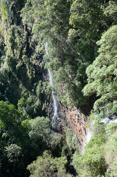 DSC_1559.jpg - Mapleton Falls National Park