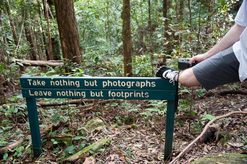 DSC_1594.jpg - Kondalilla National Park, agreed with the sign