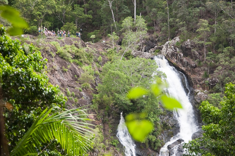 DSC_1619.jpg - Kondalilla National Park
