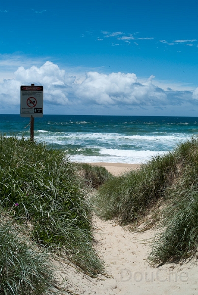 L1008611.jpg - Marcus beach