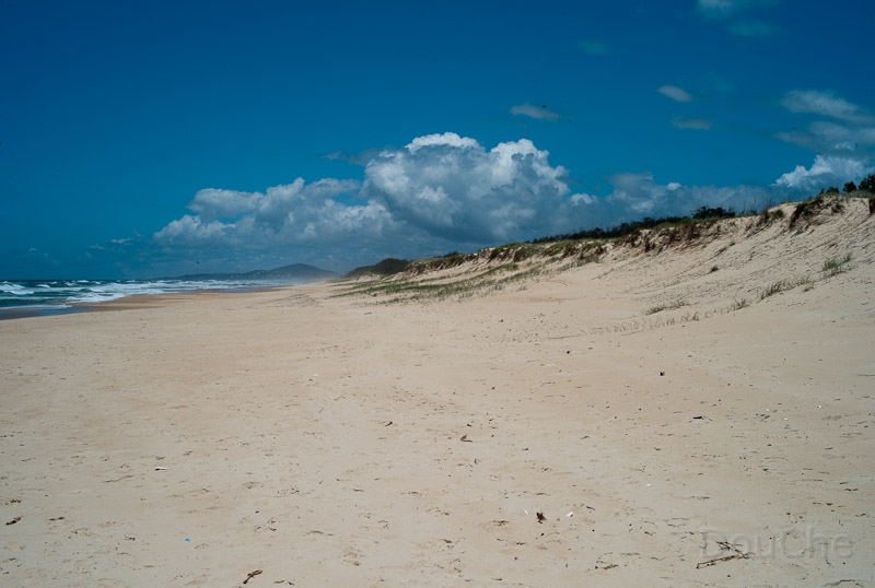 L1008621.jpg - Marcus beach