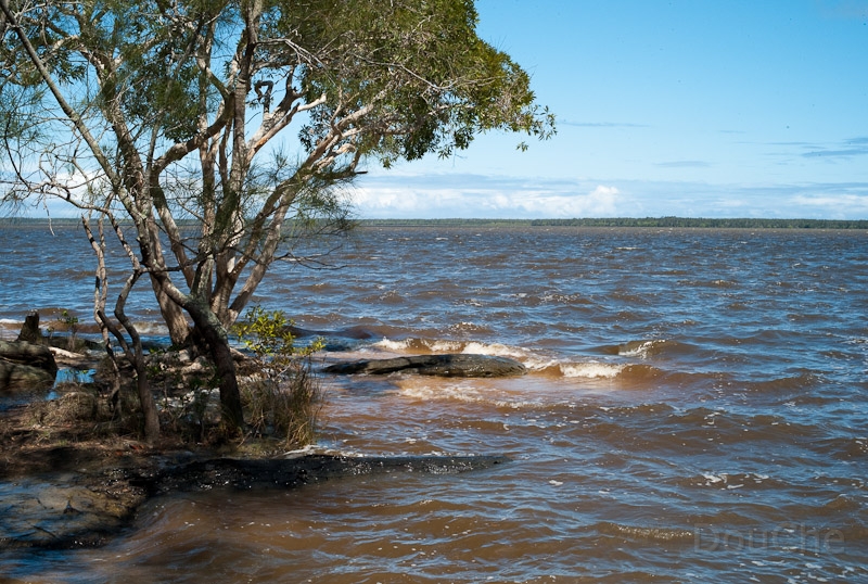 L1008650.jpg - Lake Cootharaha