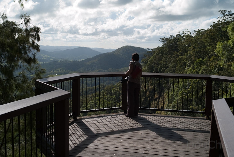 L1008659.jpg - Mapleton Falls National Park