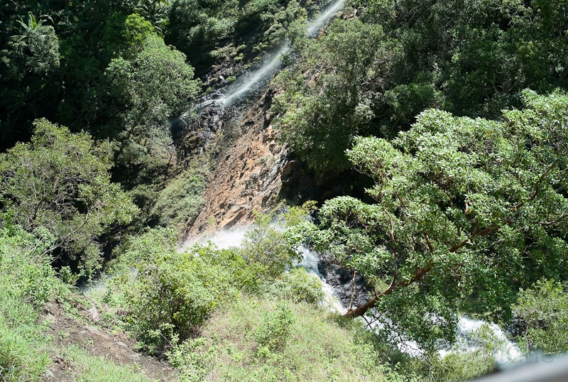 L1008661.jpg - Mapleton Falls National Park