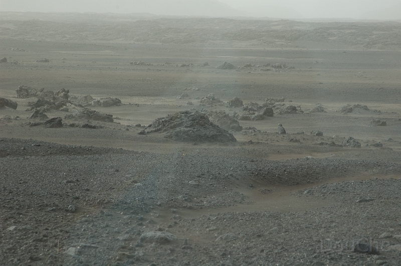 DSC_0013.jpg - The sand was so hard that we even didn't bother getting out of the car and took pics through the windscreen ... rather blast the paint of the car then the jeans of our legs ...