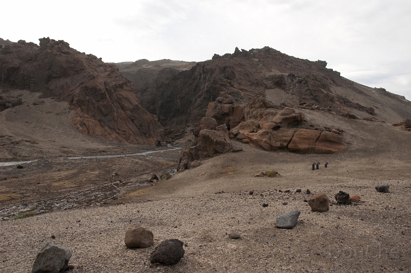 DSC_0020.jpg - The bottom of the Askja vulcano ... from here it is still 8 km up ...