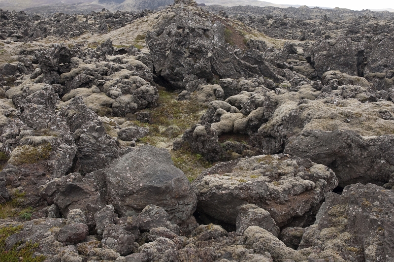 DSC_0059.jpg - ... and ... some more moss-covered lava ...