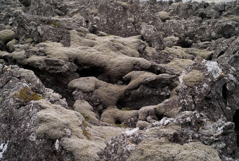 L1007321.jpg - ... and ... moss-covere lava ...