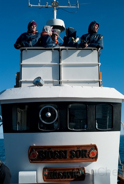 L1007535.jpg - On the watch for dark spots on the water, birds trooping together ... and shouting the direction when one is spotted.