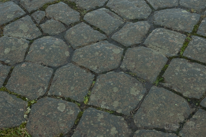 DSC_0065.jpg - Nope, not some coblestones in an old village ... these are natural appearing lava rocks ...