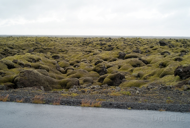 L1007921.jpg - Did we already show pics of moss-covered lava?
