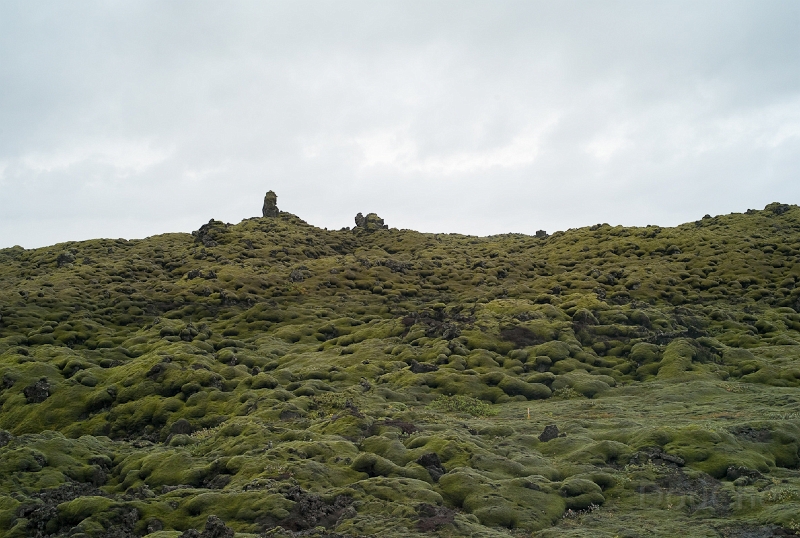 L1007922.jpg - Did we already show pics of moss-covered lava?
