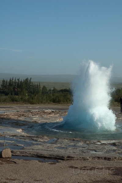 DSC_0247.jpg - and there it goes ...