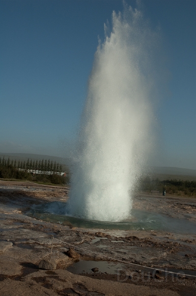 DSC_0250.jpg - even higher